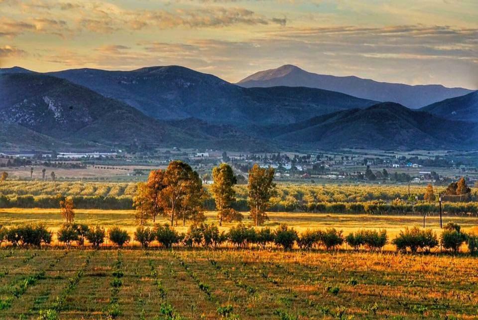 Villa Corsua Valle de Guadalupe Εξωτερικό φωτογραφία