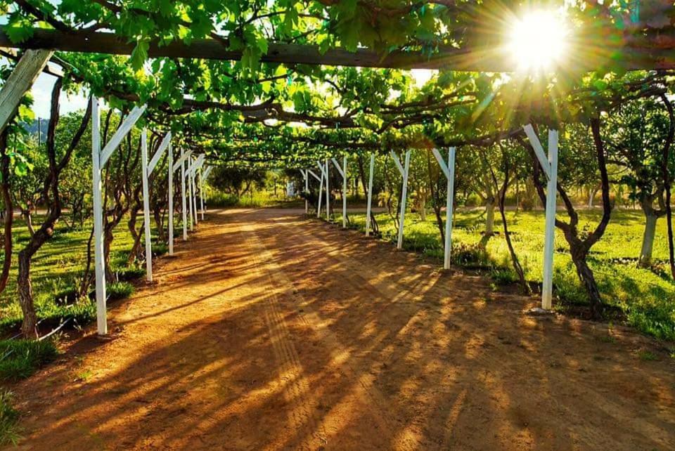 Villa Corsua Valle de Guadalupe Εξωτερικό φωτογραφία